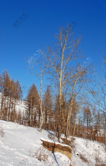 五峰山冬色图片