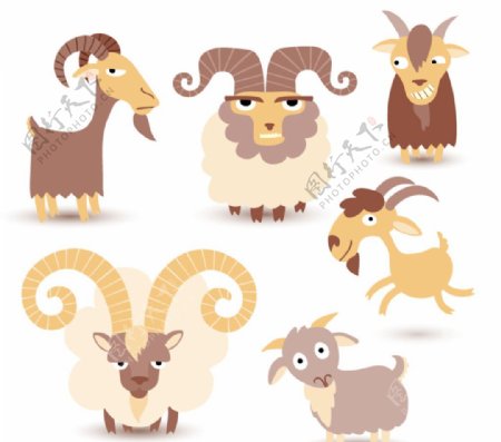 6款卡通羊设计图片