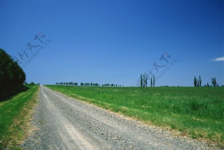 乡间小路景色图片