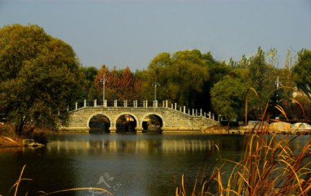 湖中的桥图片