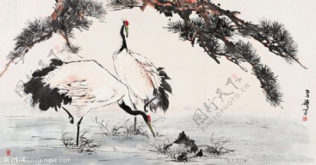 鹤寿图图片