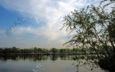 北京稻香湖图片