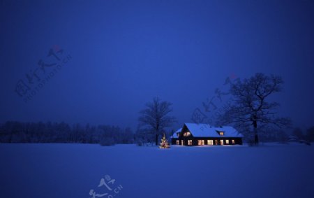 冬夜风景图片