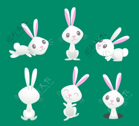 款卡通白色兔子设计图片