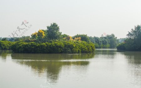 南沙湿地公园图片