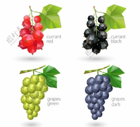 水果葡萄矢量图片