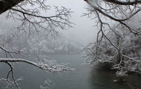 冬湖图片