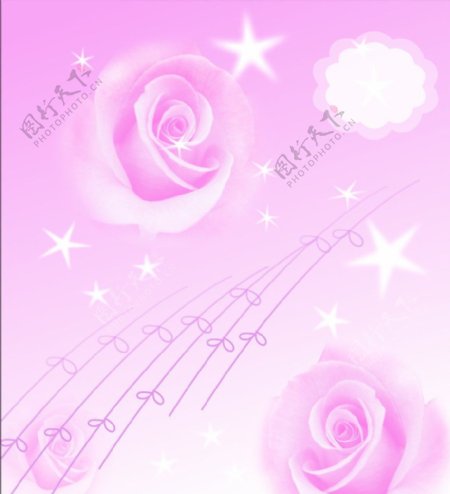 粉玫瑰星图片