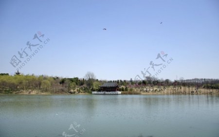 燕雀湖图片