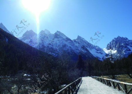 雪山木桥图片