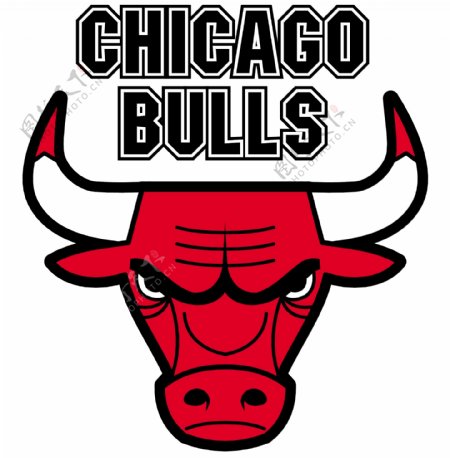 公牛队徽logo图片