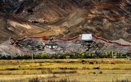 西藏山脉图片