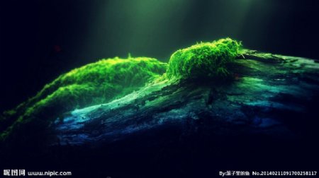 绿色水下世界图片