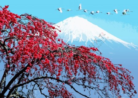 富士山的景色图片