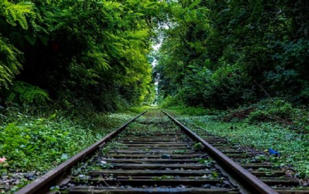 铁路铁轨森林绿色自然理念图片