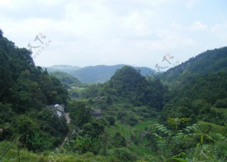 南国红豆林景区图片