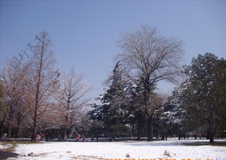 紫竹院雪景图片