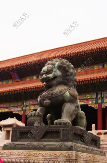 北京故宫石狮子图片