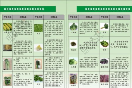 蔬菜营养介绍图片
