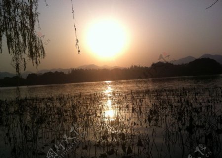 西湖落日图片