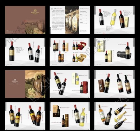 葡萄酒庄葡萄酒产品画册图片