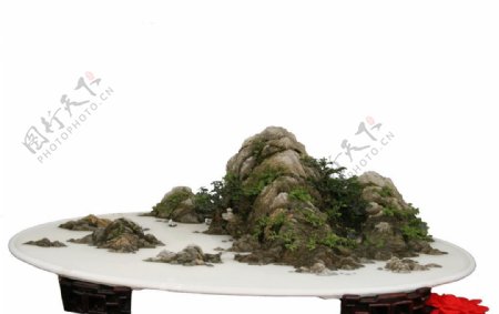 山石盆景图片