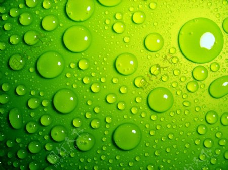 高清绿色水滴背景图片