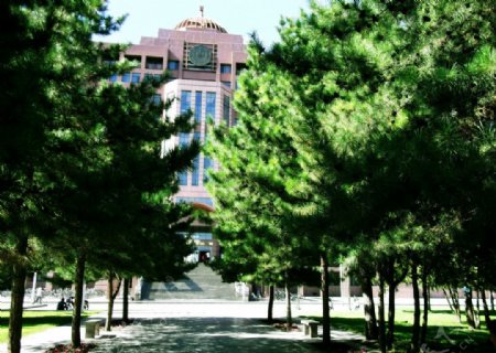 内蒙古大学校园风光图片