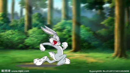 奔跑的兔子图片