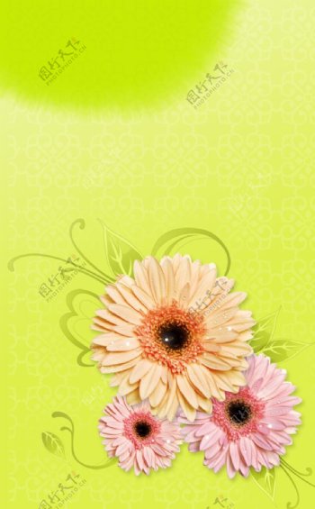 花朵花纹背景图片