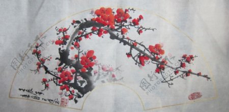 国画梅花图片