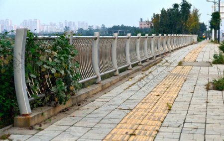 桥梁围栏图片