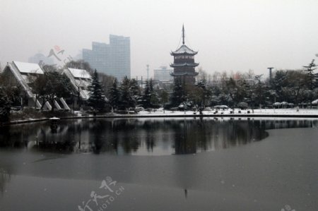 文峰塔雪景图片
