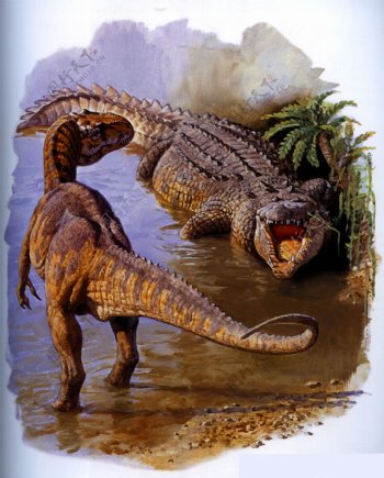 恐龙与鳄鱼图片