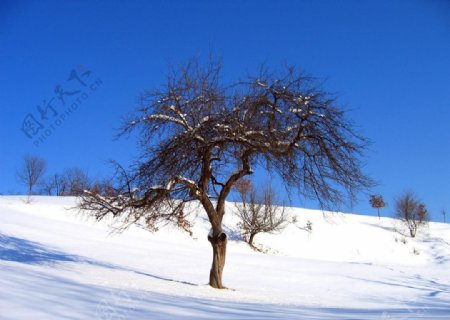 冬季风光图片