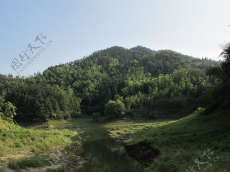 浙江湖州安吉树林蓝天图片