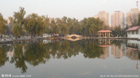 北京丰台花园图片