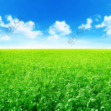 蓝天白云绿野图片