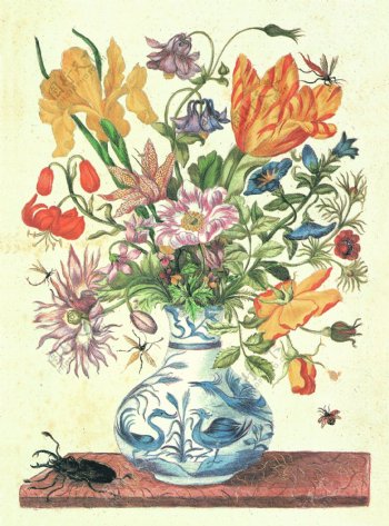 花瓶花卉绘画图片