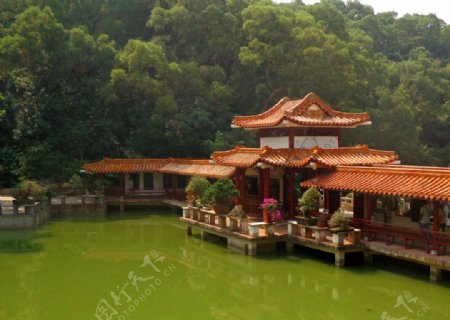 仙湖盆景园非高清图片