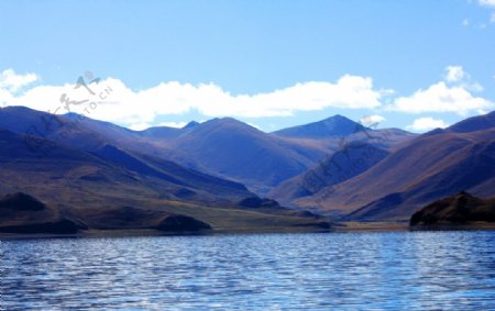 青藏高原羊湖图片