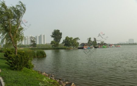 莲花湖湖畔图片