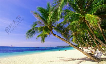 热带海滩海边风景图片