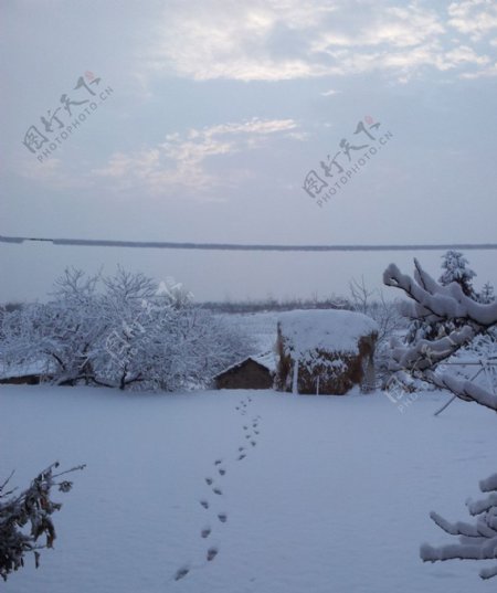 雪中的足迹图片