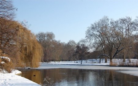 湖边风景图片