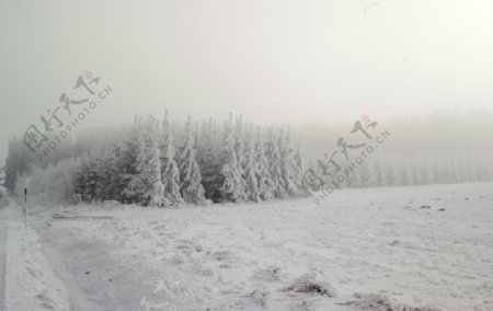 冬季大雪风光图片