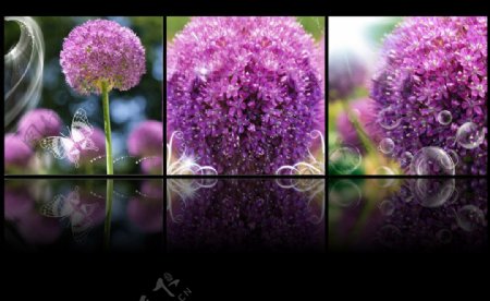 花朵三联画图片