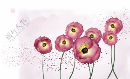 韩国高清花纹图案图片