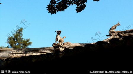 苏州拙政园图片