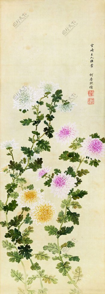 长枝花卉图片